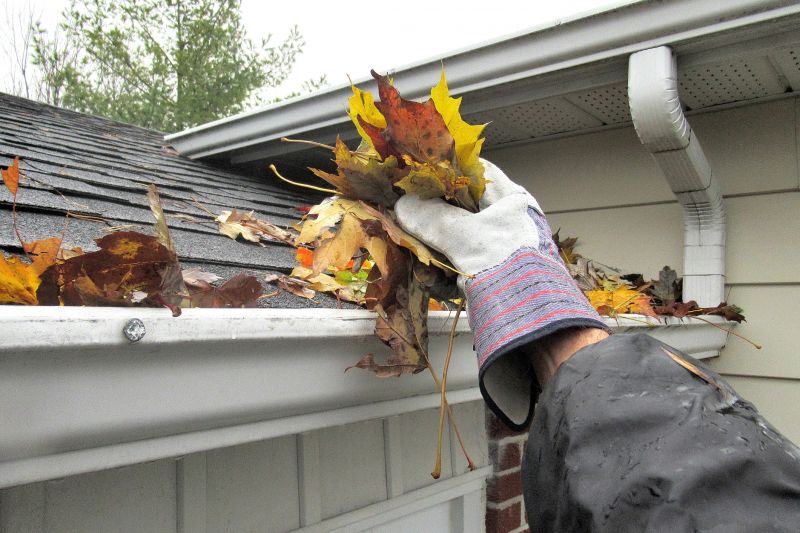 Cleaning and Clearing Gutters