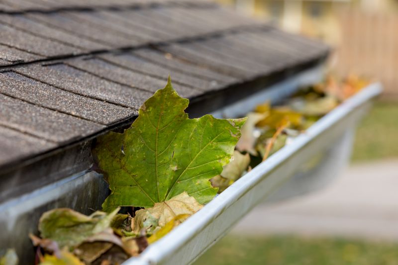 Seasonal Gutter Maintenance